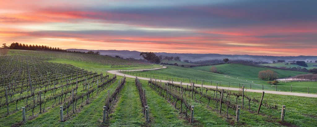 adelaide hills