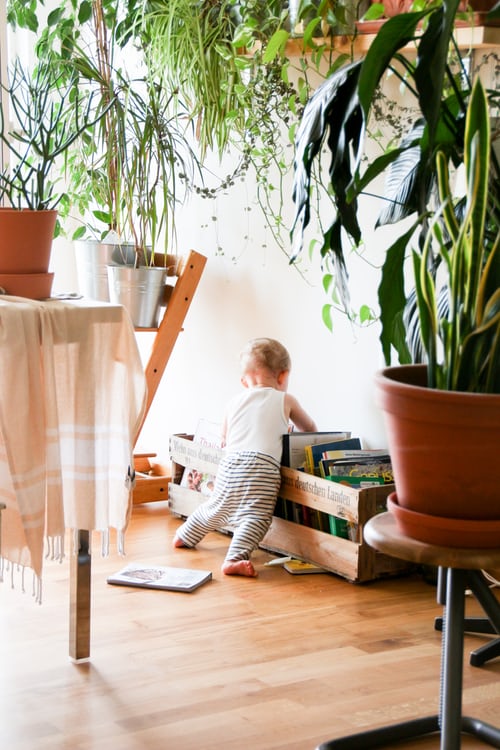 A baby choosing a book