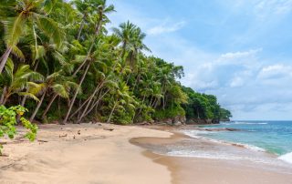 tropical beach
