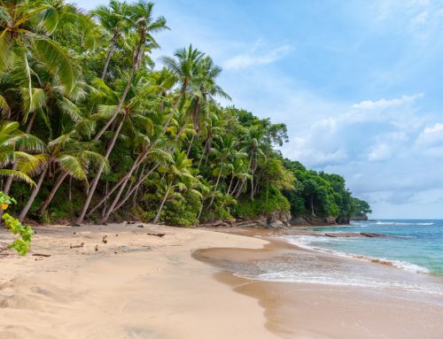 Top Destinations for a tropical Christmas