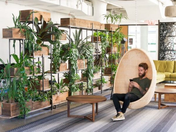 biophilia interior design